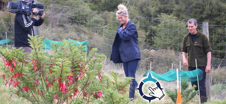 Reputation building Napier